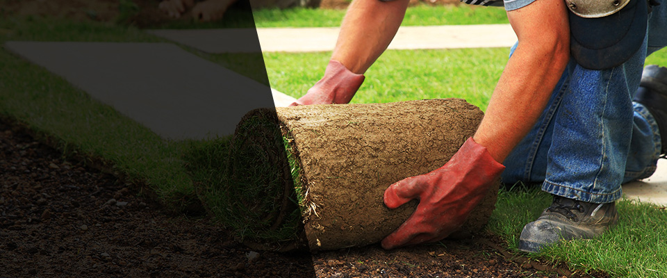 De Leon Springs Landscapers